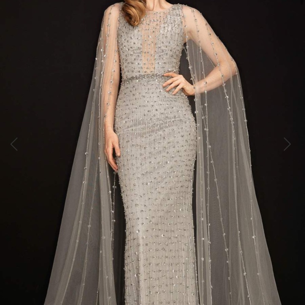 Terani Silver Cape Dress